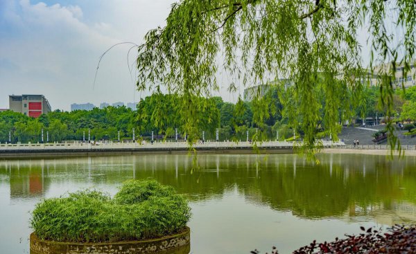 西南政法大学算名校吗