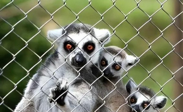 黄岛旅游景点有哪些