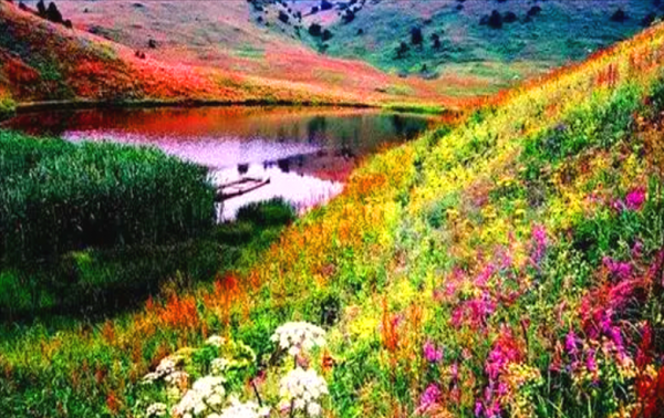 镇安旅游值得去的景点