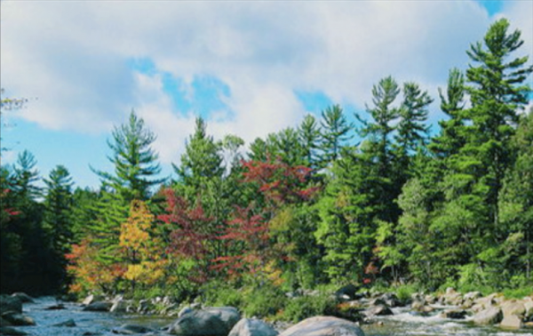 镇安旅游值得去的景点