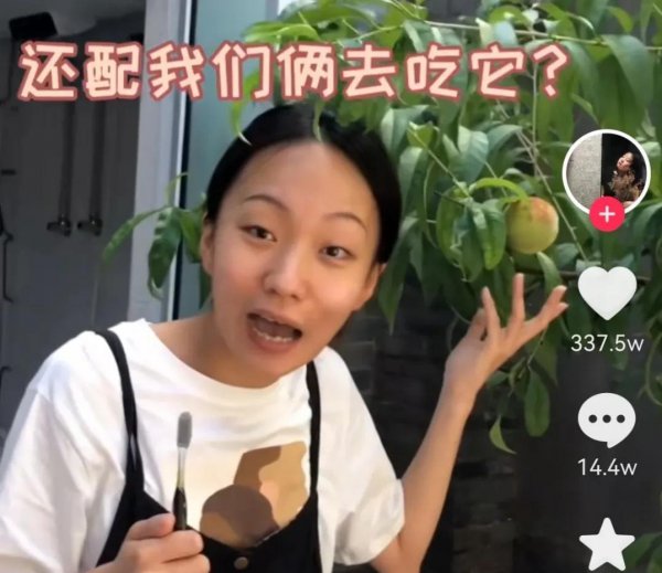 网红贝勒爷邵雨轩个人资料