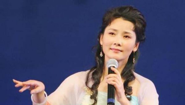 何赛飞个人简历