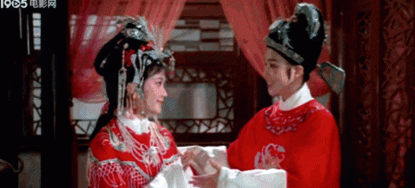 何赛飞个人简历