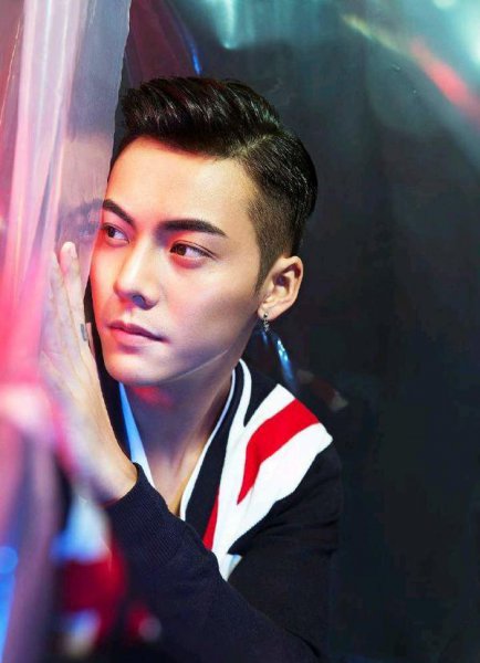 杨颖个人资料简介及经历介绍