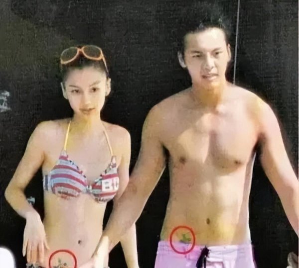 杨颖个人资料简介及经历介绍