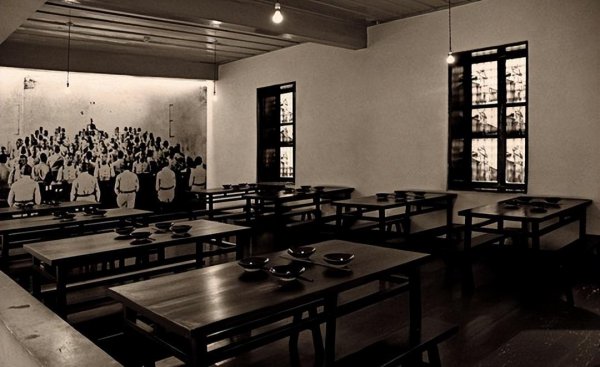 叶曼先生简介及人生经历