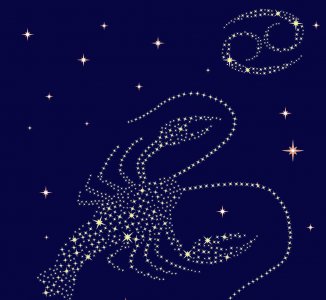 巨蟹座女生性格超准分析 归纳典型的巨蟹座女生的特点