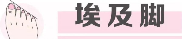 埃及脚适合穿什么鞋子