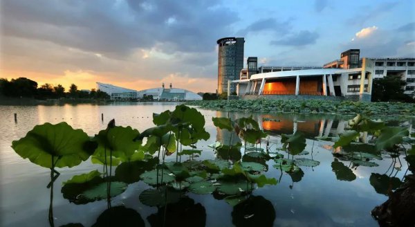 浙江大学排名全国第几