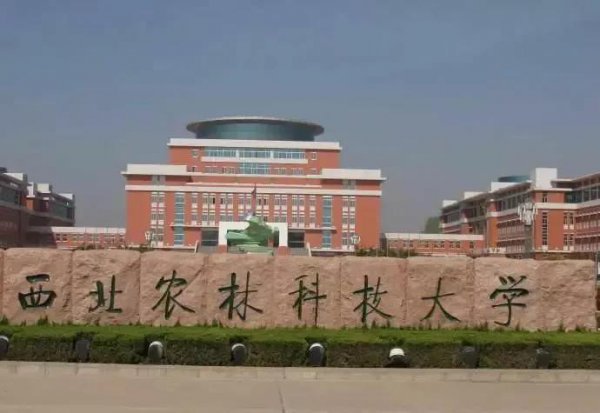 浙江大学排名全国第几