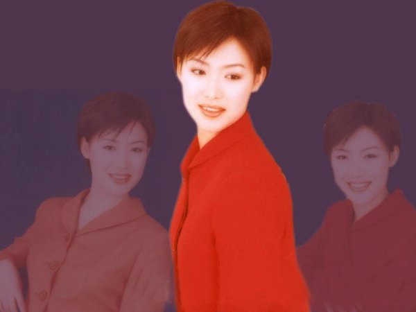 主持人郑丽简历及资料介绍