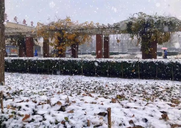 天津财经大学珠江学院是几本