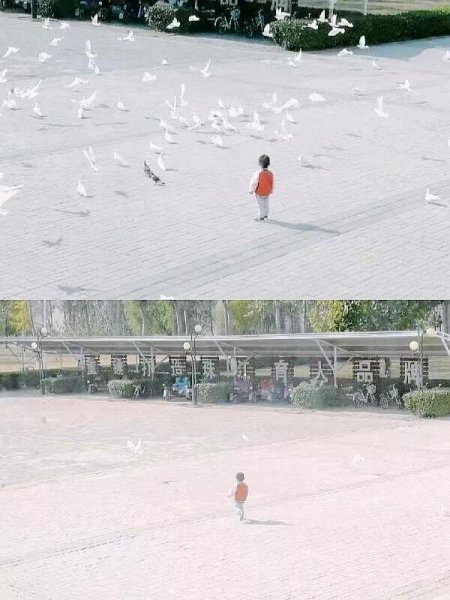 天津财经大学珠江学院是几本