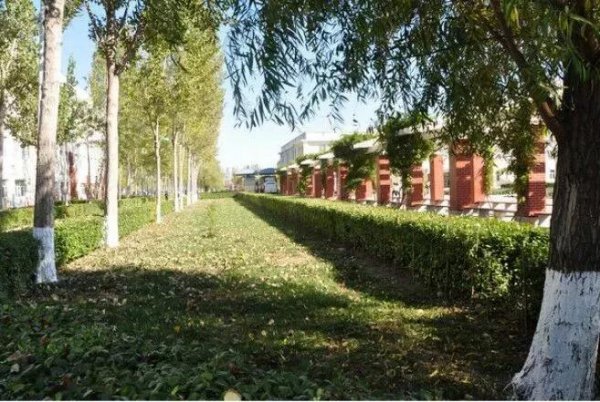 天津财经大学珠江学院是几本