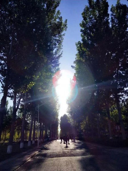 天津财经大学珠江学院是几本