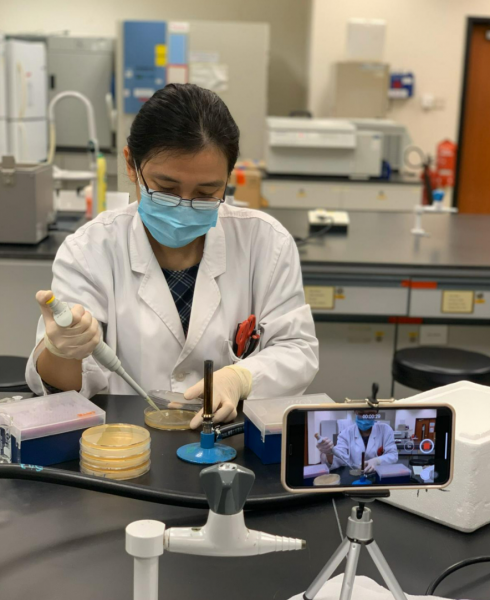 香港浸会相当于国内什么大学