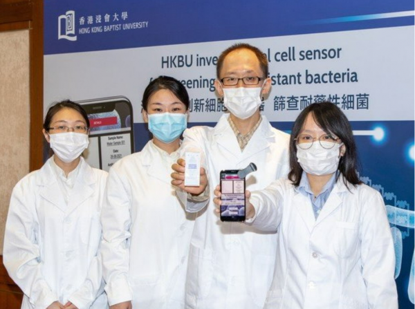 香港浸会相当于国内什么大学