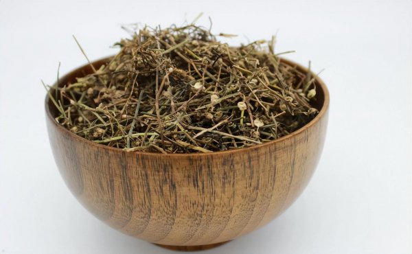 蛇最怕什么植物和花草