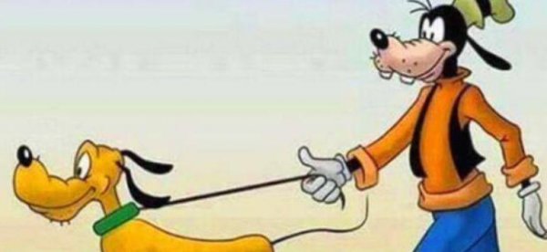 高飞和布鲁托是什么关系