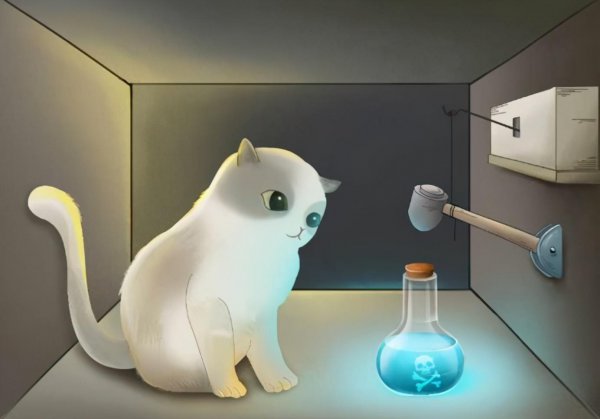 平行世界真的有另一个自己吗