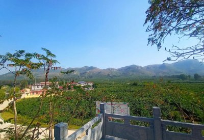 立春三候分别是哪三候 三候分别有哪些特征