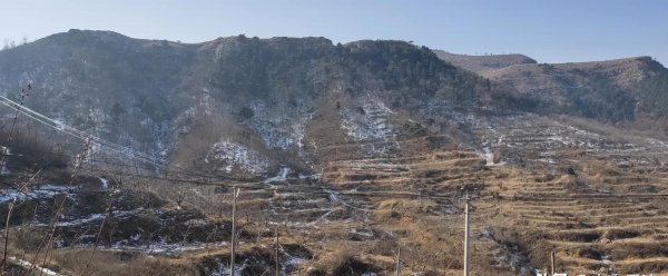 立春三候分别是哪三候