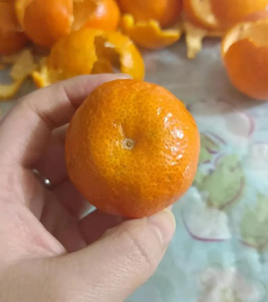 立春三候分别是哪三候