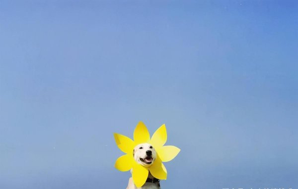 越想得到的东西越得不到是什么定律