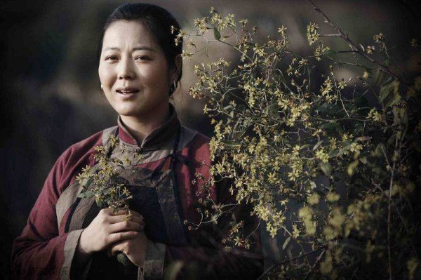 王茜华个人资料简历