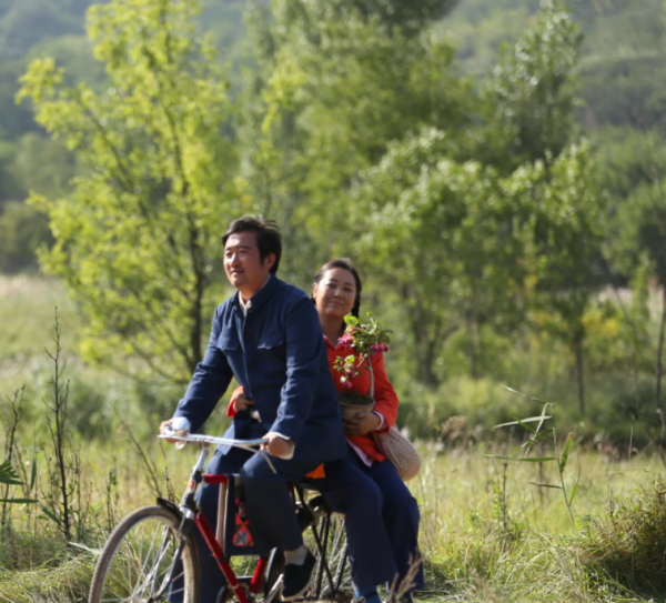 王茜华个人资料简历