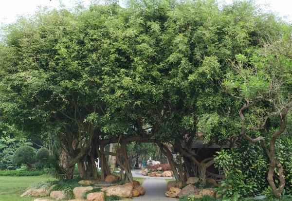 广西旅游必去十大景点排名