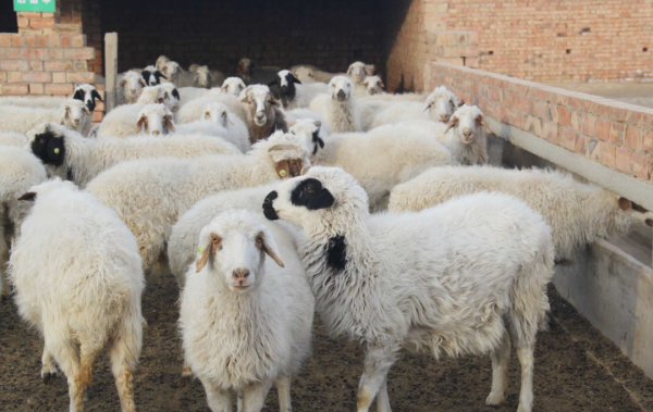 盐池县属于哪个市