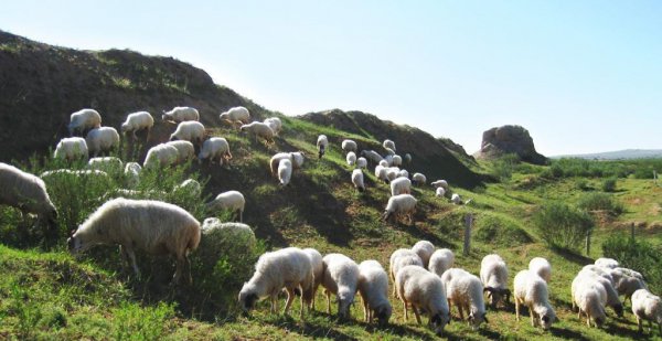 盐池县属于哪个市
