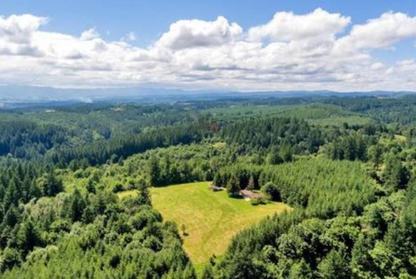 波特兰是美国哪个州