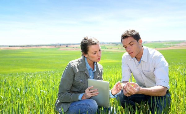 农学考研太简单了吗