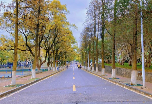 湘潭大学学科评估第四轮结果