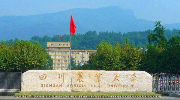 四川有哪些大学可以考研