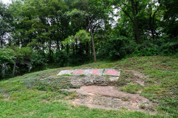 紫金山高度多少米