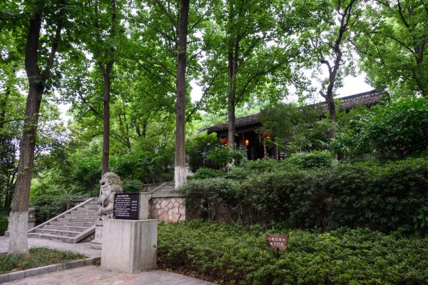 紫金山高度多少米