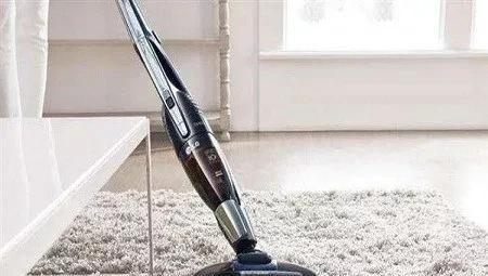 家里小蠹虫怎么根除