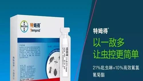 家里小蠹虫怎么根除