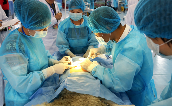 二本女生最吃香的十大专业