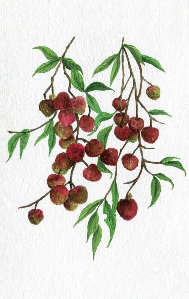 古代的岭南地区指哪里