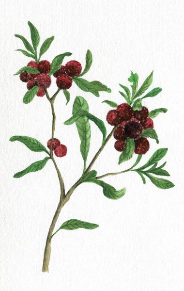 古代的岭南地区指哪里