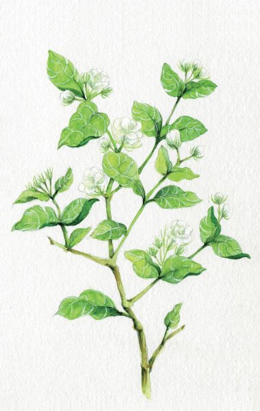 古代的岭南地区指哪里