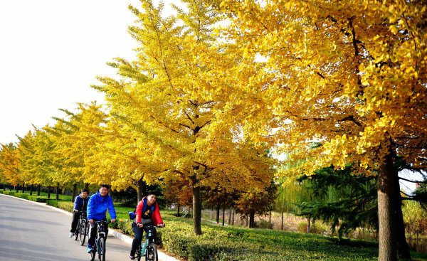 青岛科技大学什么档次