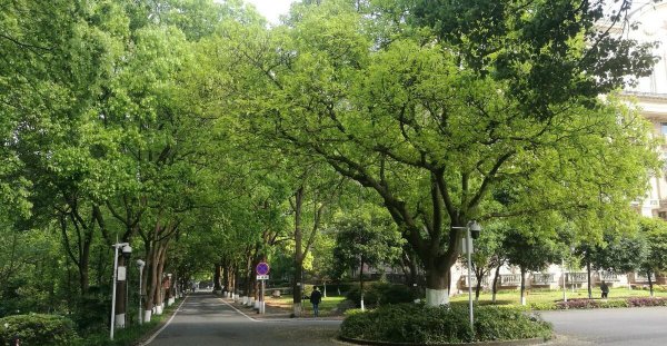 西南大学位置在什么地方