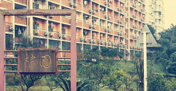 西南大学位置在什么地方