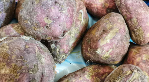 芜湖特产有哪些