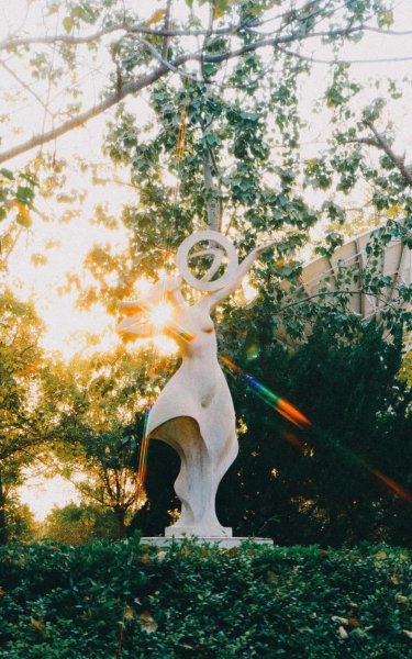 中国民航大学在哪个省份